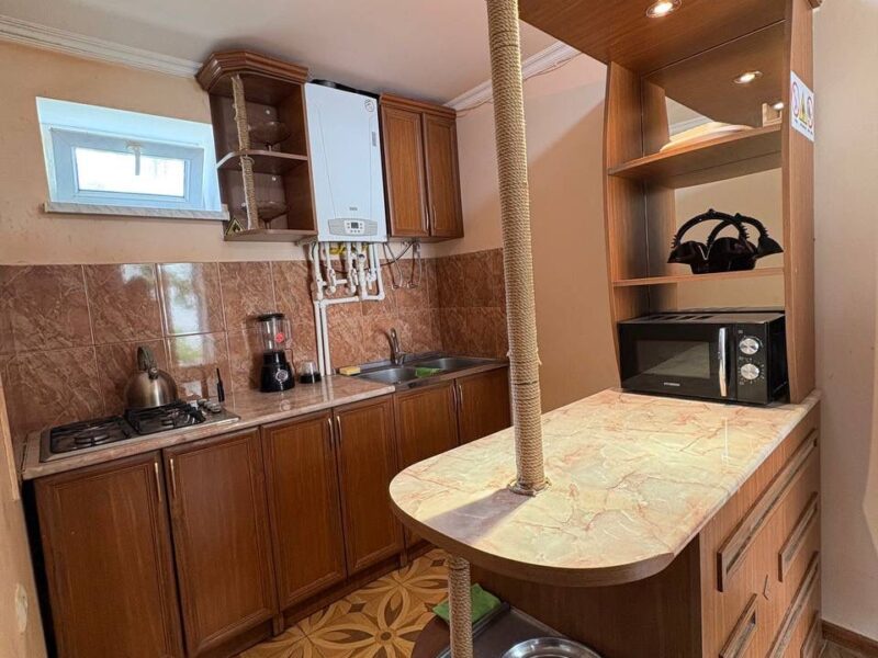 Լողավազանով առանձնատուն Դիլիջանում 4 սենյակ