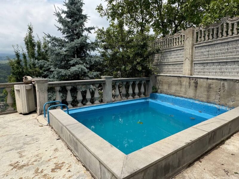 Լողավազանով առանձնատուն Դիլիջանում 4 սենյակ