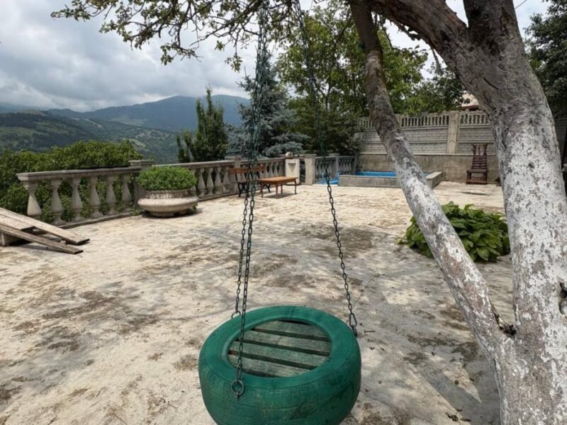 Լողավազանով առանձնատուն Դիլիջանում 4 սենյակ