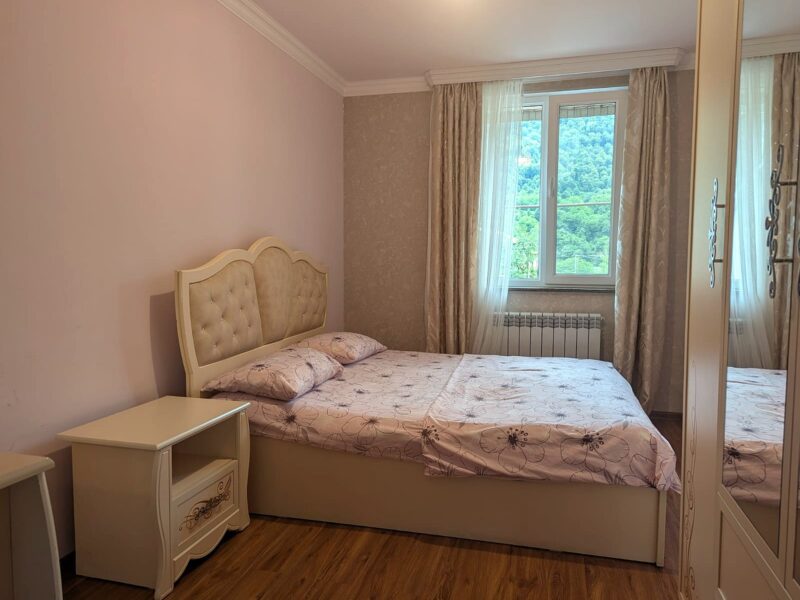 Օրավարձով առանձնատուն Դիլիջանում 3 սենյակ, Լողավազան