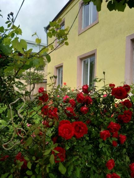 Առանձնատուն Դիլիջանում ✅Լողավազան