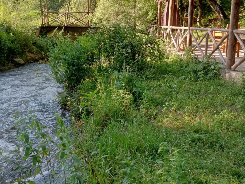 Տաղավարներ Հաղարծինում ԼՈՂԱՎԱԶԱՆ