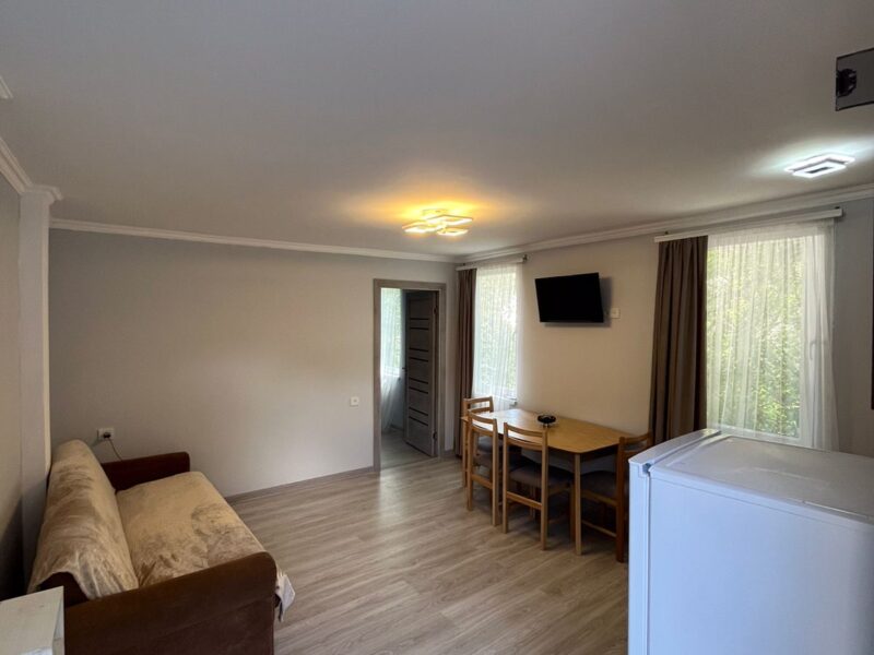 Բնակարան Դիլիջանում ✅ Գետի ափին