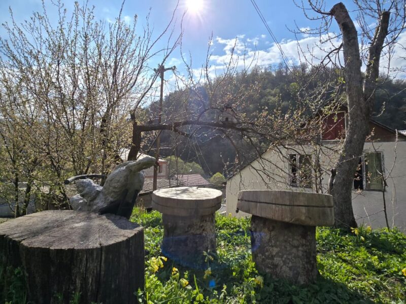 Քոթեջներ Դիլիջանում ✅