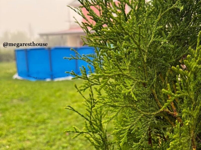 Առանձնատուն Դիլիջանում ✅3 սենյակ ✅Լողավազան