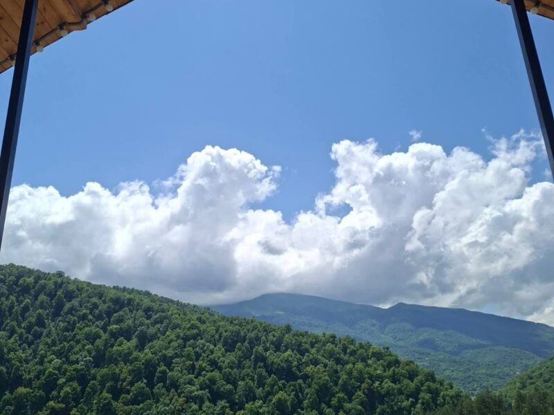 Քոթեջ Դիլիջանի Հաղարծին համայնքում ✅ Լողավազան✅